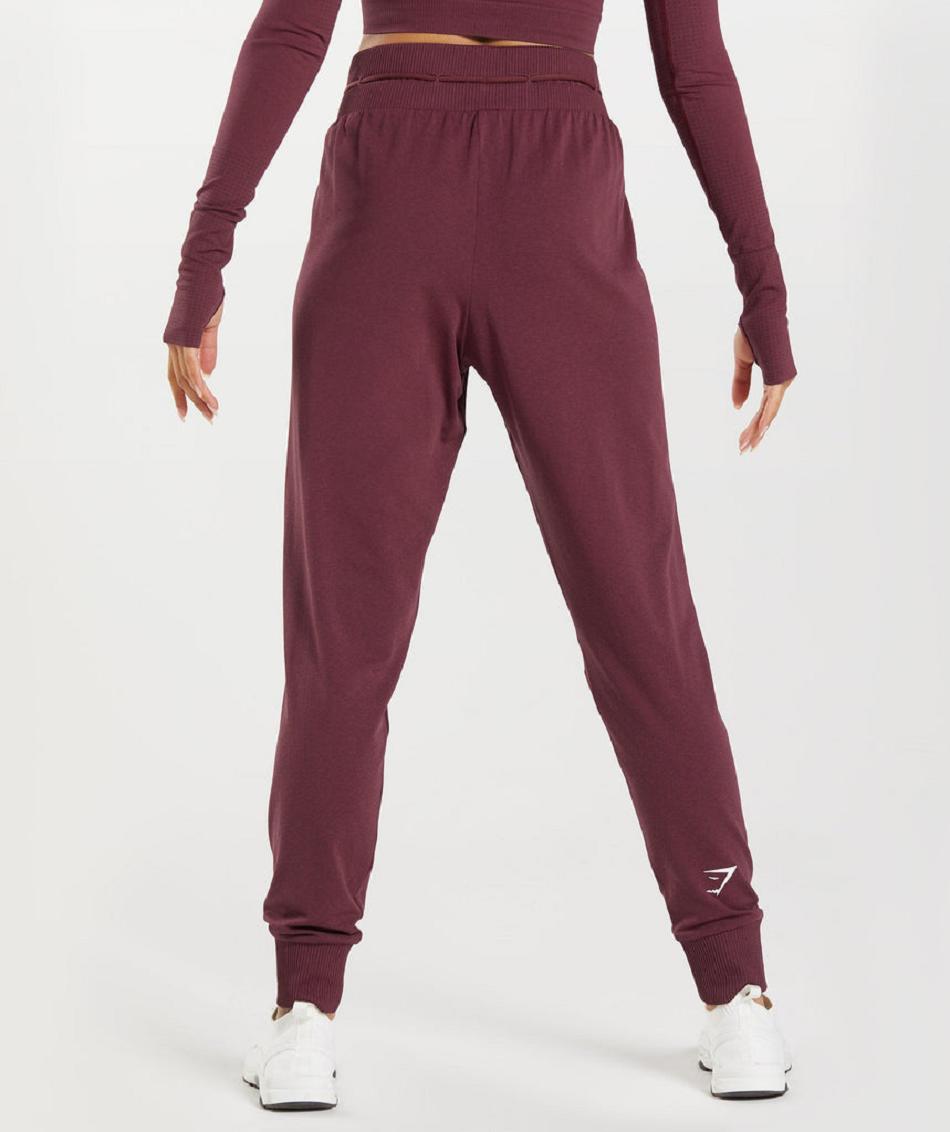 Gymshark Vital Seamless 2.0 Ženske Jogger Hlače Bordo | HR 4111JPQ